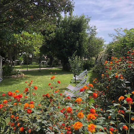 Villa Caterina b&b Procida Esterno foto
