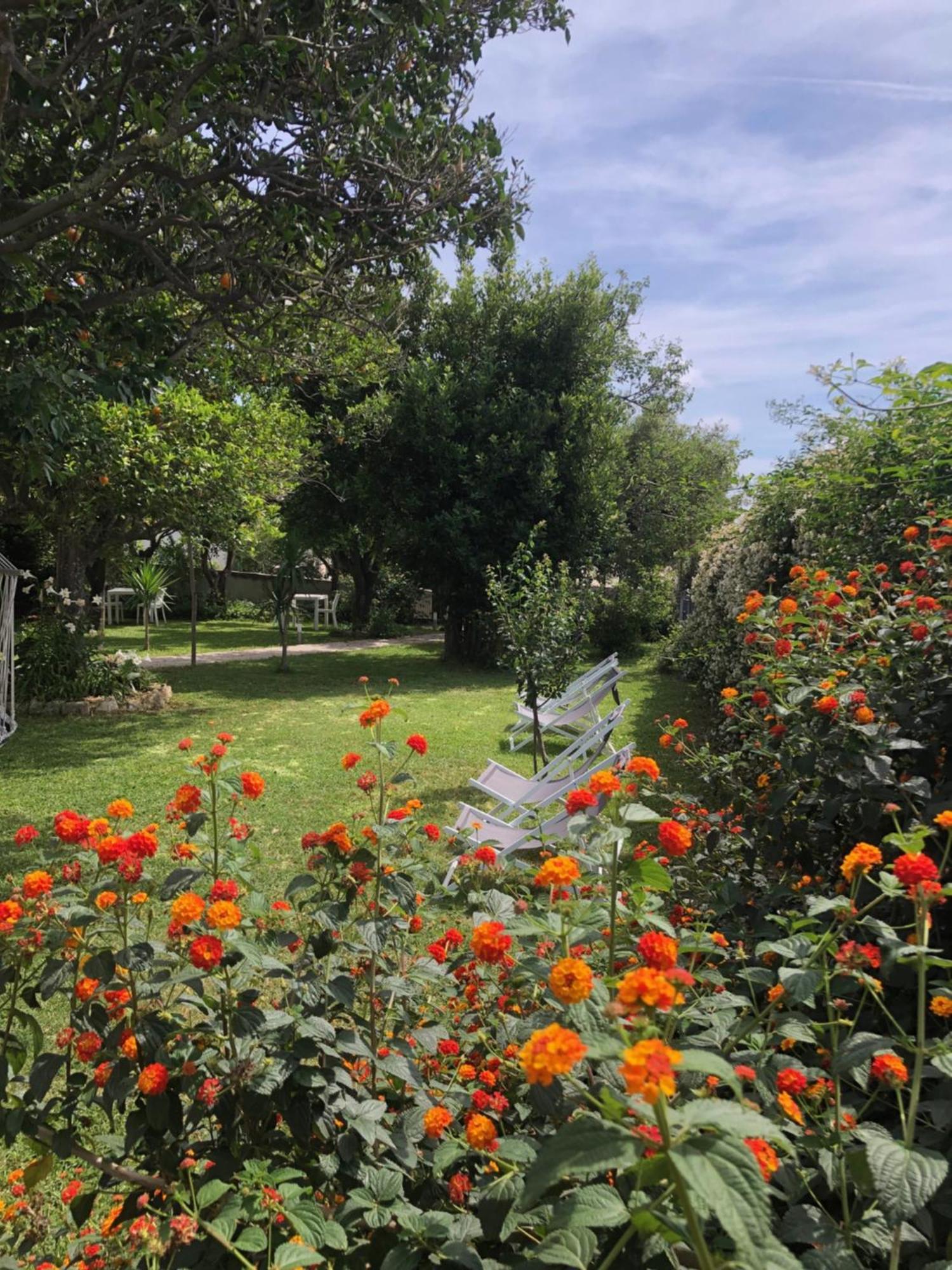 Villa Caterina b&b Procida Esterno foto